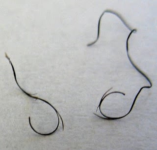 How Hair Trims Increases Length Retention How Hair Trims Increases Length Retention