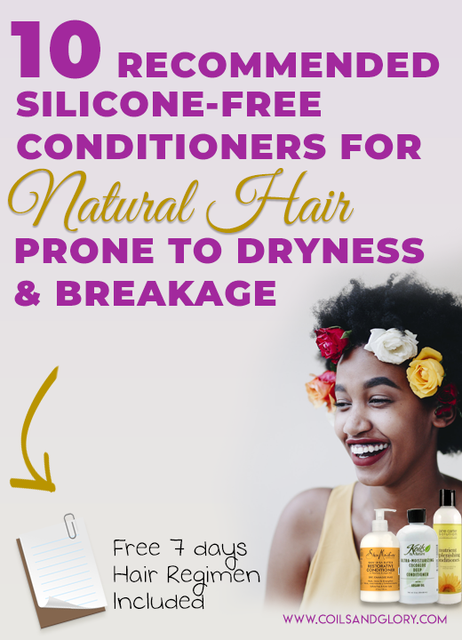 best silicone free conditioner