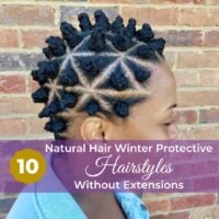10 Natural Hair Winter Protective Hairstyles Without Extensions