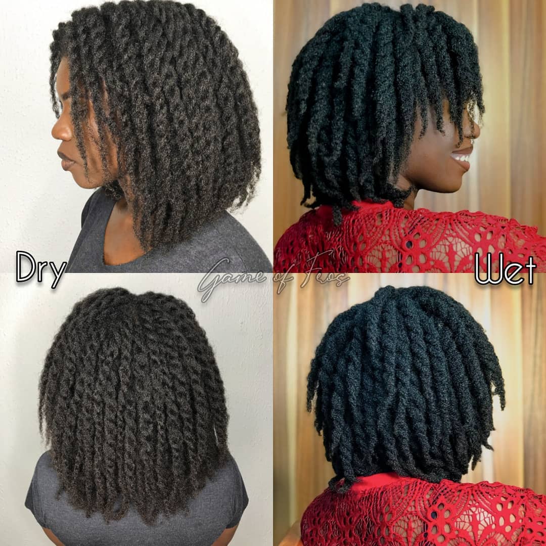 two strand twist on wet or dry hair