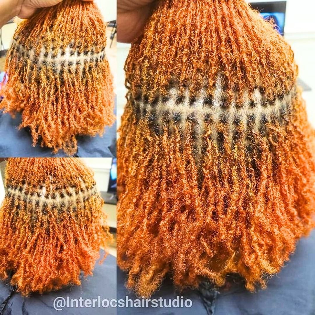 ginger sisterlocs on women