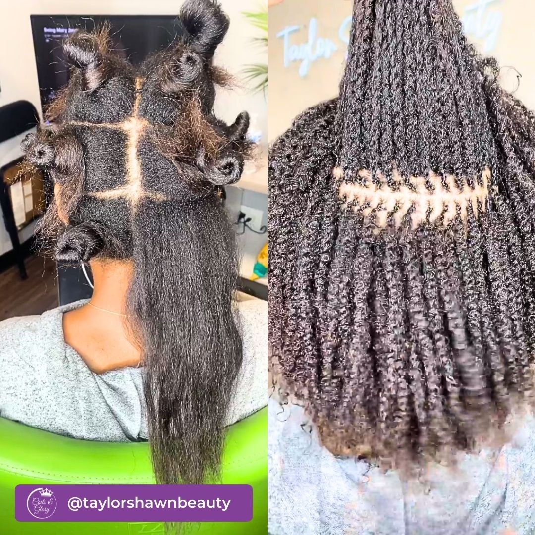Natural hair twists locs on black ladies
