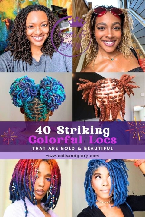 Stunning Vibrant Locs on Black Ladies