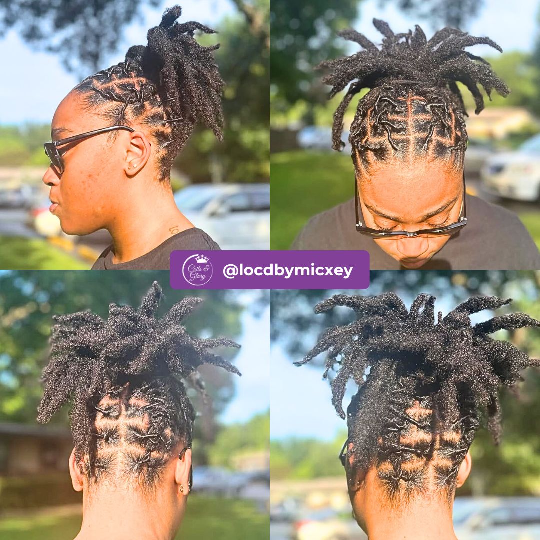high ponytail locs on black women