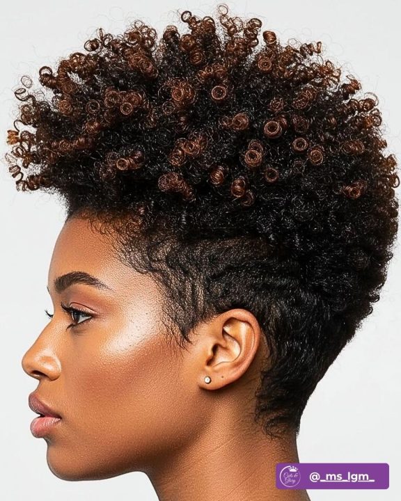 Coiled tapered afro featuring warm chocolate brown dyed tips.