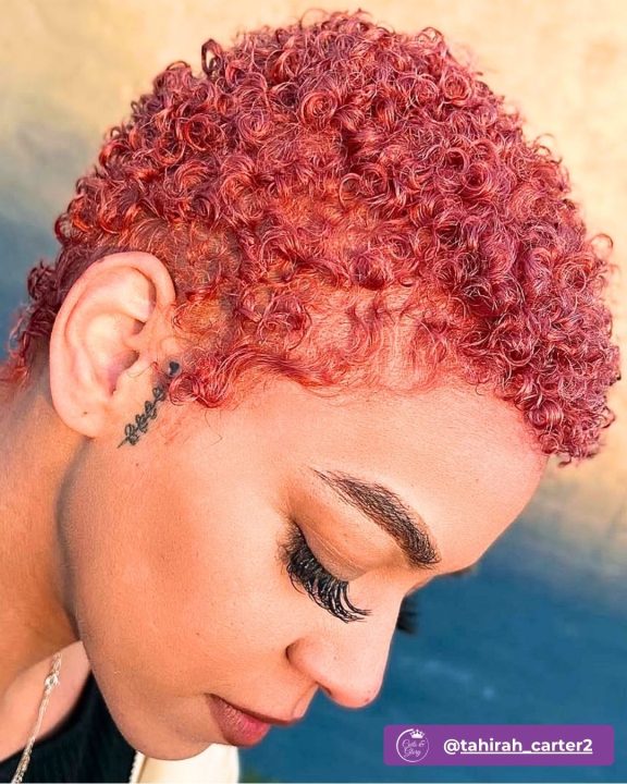 Dusty rose coily pixie cut with tapered edges for short natural textured hair.