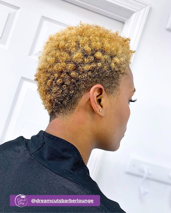 Honey blonde tight-ringlet mini afro women's haircut with tapered sides for short natural curly hair.